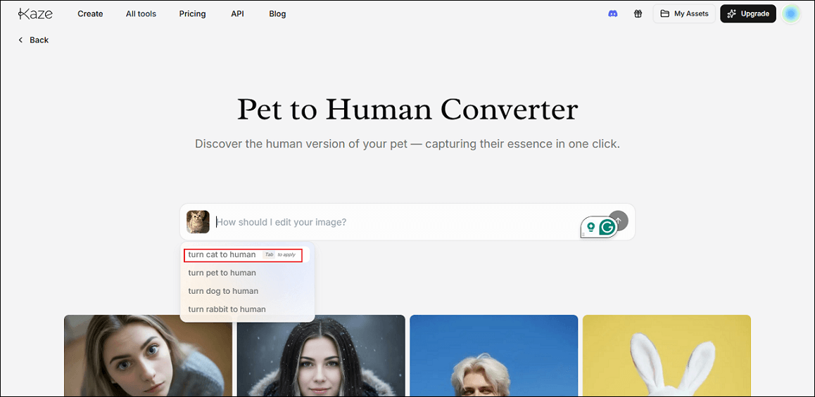 Kaza ai interface showing how to apply a prompt to turn a pet to human.