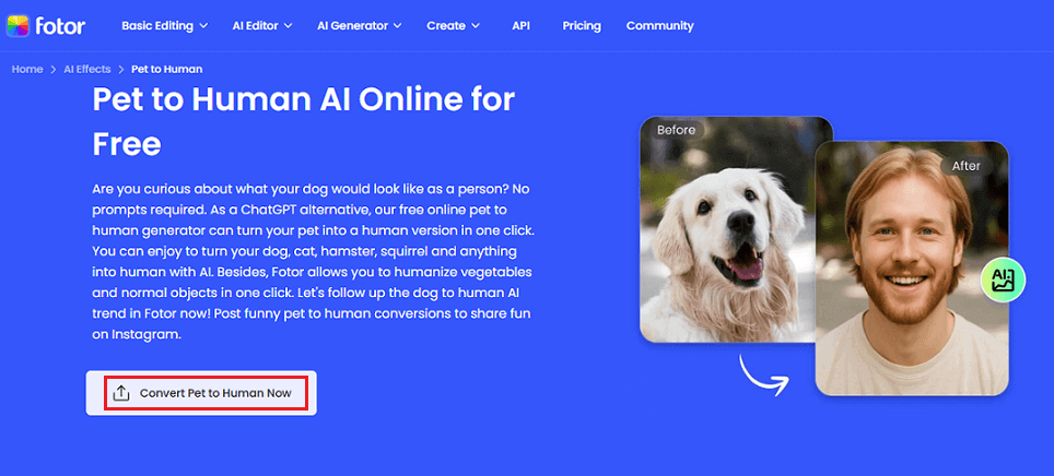 Fotor interface with the Convert Pet to Human Now option selected.