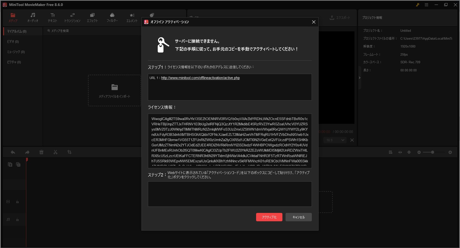 MiniTool MovieMakerのURLとライセンス情報をコピーする画面