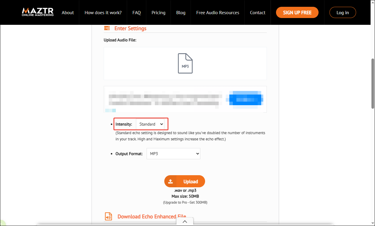 Maztr interface showing the selected Intensity option.