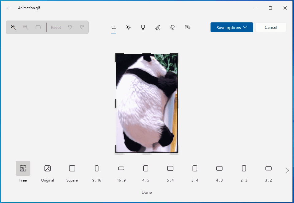 Microsoft Photos cropping window showing a Panda GIF.