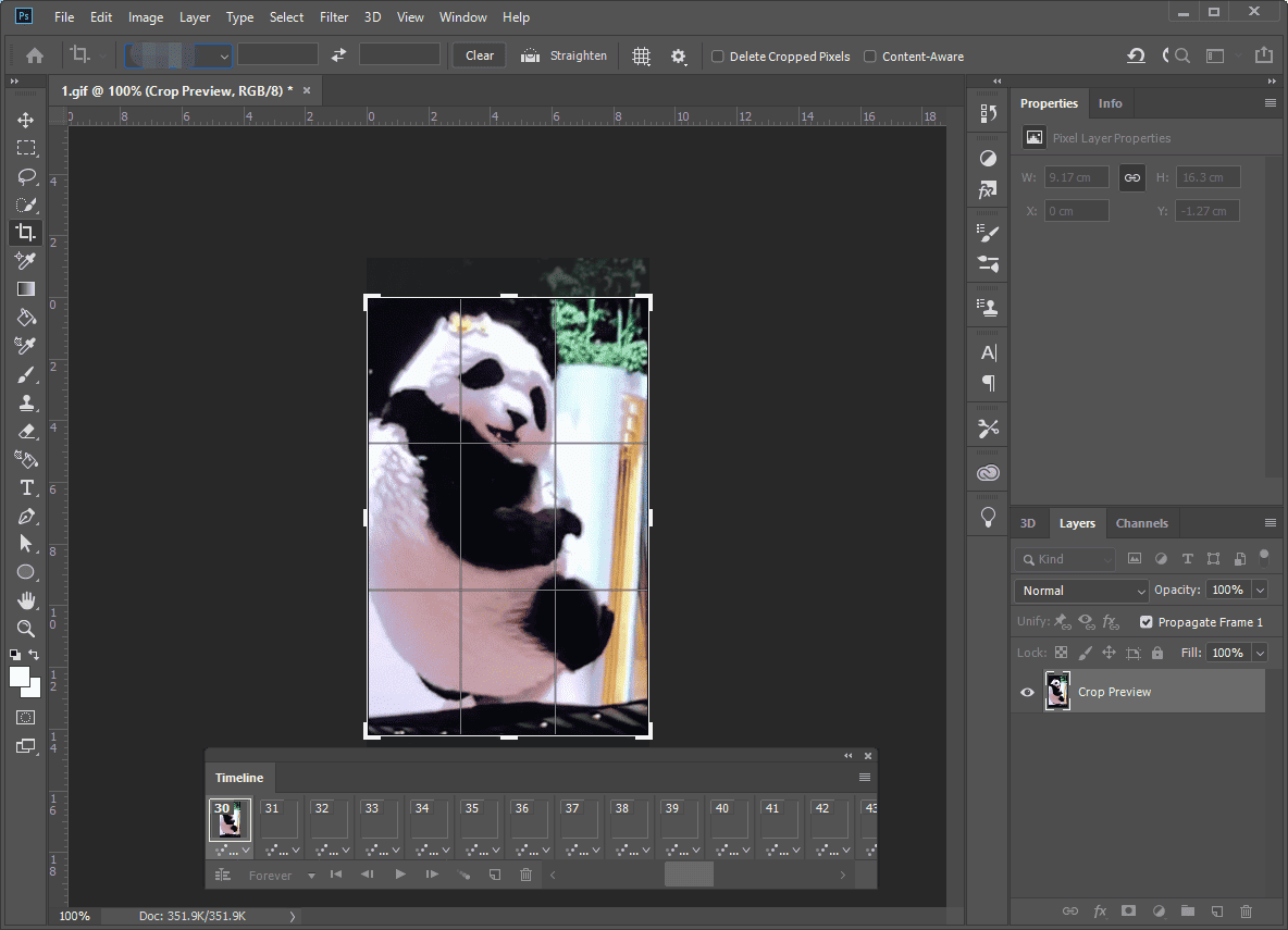Photoshop interface showing how to crop a GIF.