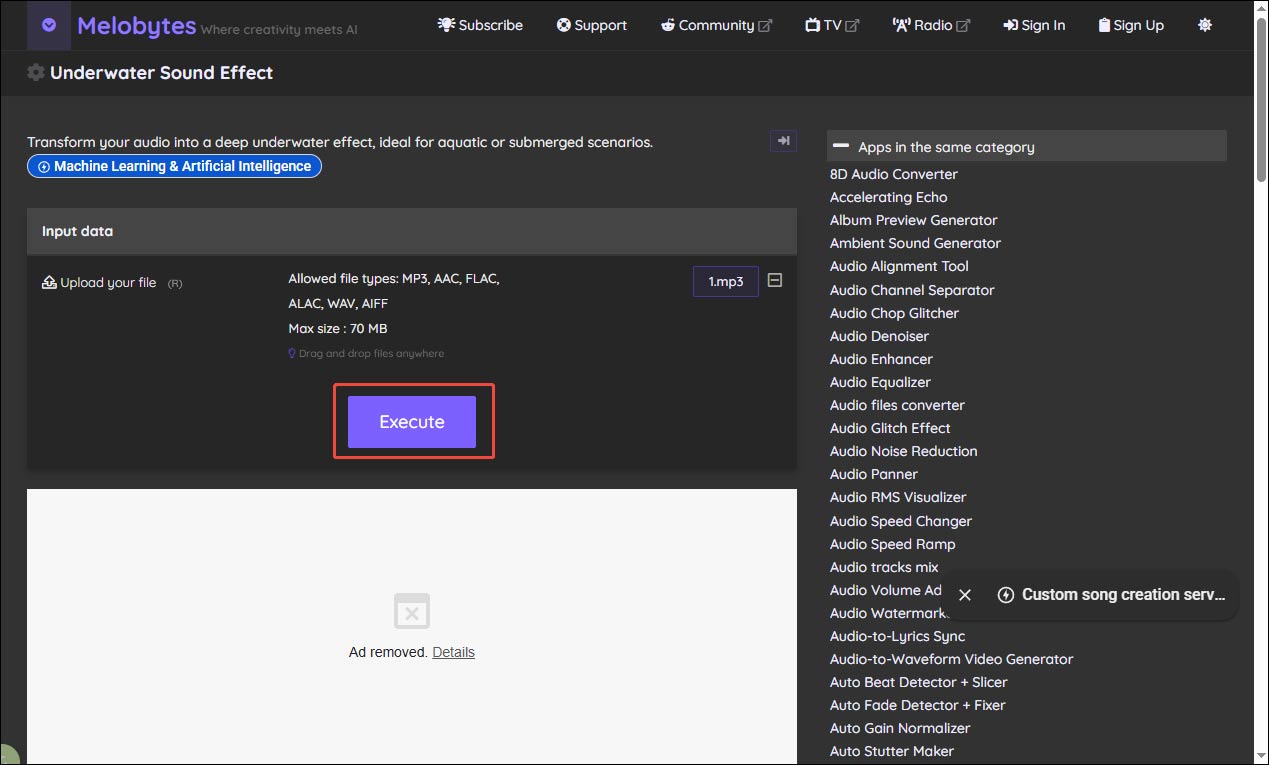 Melobytes interface showing the selected Execute option.