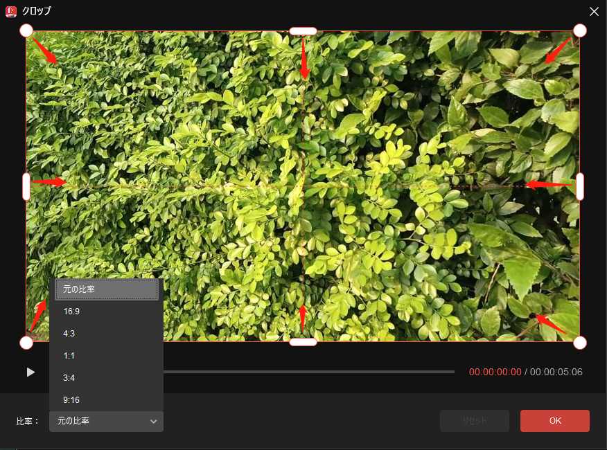 MiniTool MovieMakerで動画をクロップしている様子