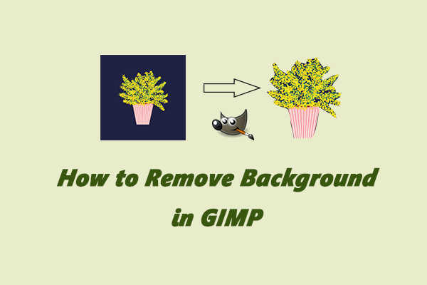 Solved: How to Remove Background in GIMP [A Step-by-Step Guide]