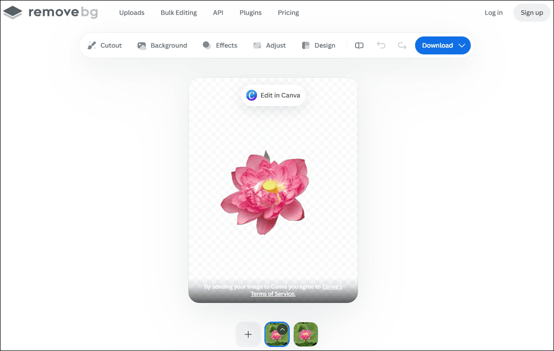Remove.bg interface showing a photo with a transparent background.