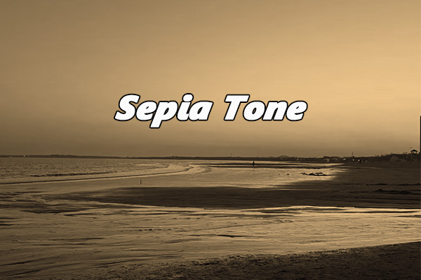 Step-by-Step Guide on How to Add Sepia Tone to Images [3 Ways]