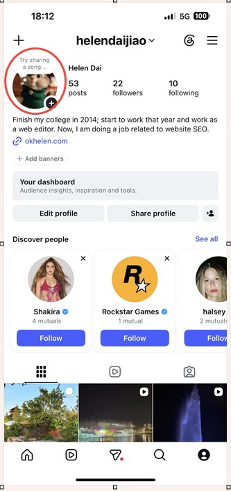 Instagram profile page with the profile picture highlighted