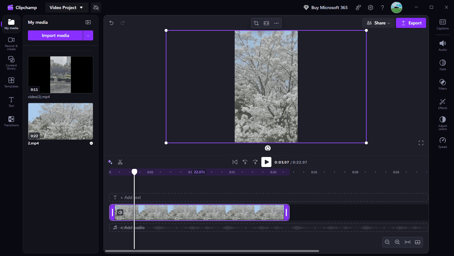 Microsoft Clipchamp interface showing a cherry blossom tree video.