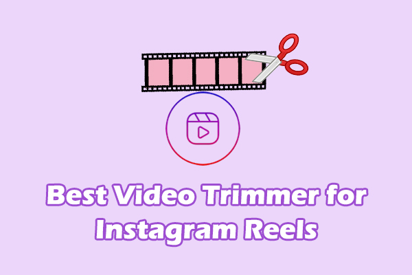What Is the Best Video Trimmer for Instagram Reels: 5 Options
