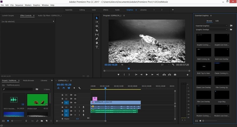 Adobe Premiere Pro erstellt Videos aus Bildern