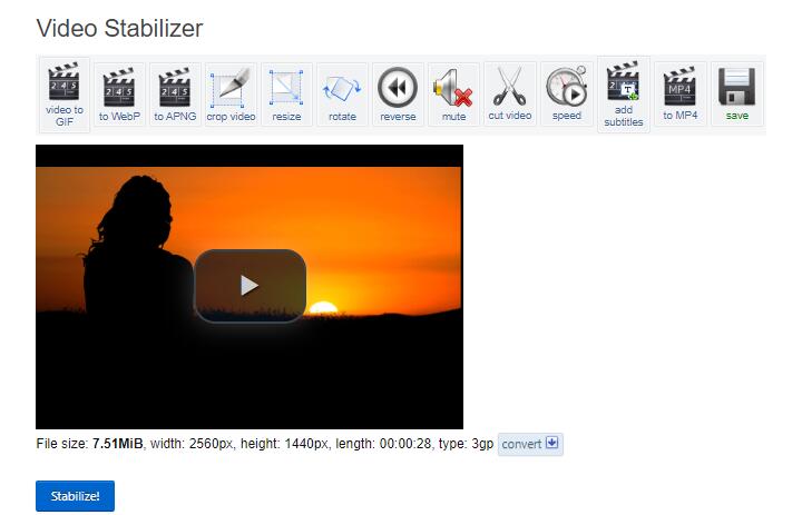 EZGIF Online Video Stabilizer