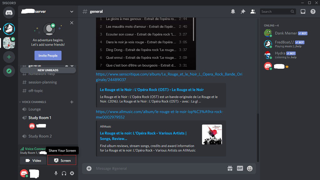 share your screen on a Discord server