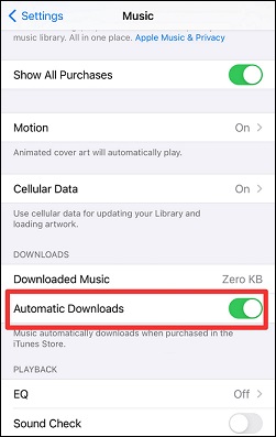 turn on Automatic Downloads on Apple Music settings