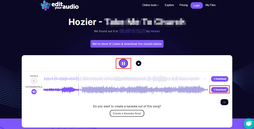 make a song instrumental with Edit Your Audio