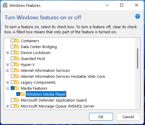 enable Windows Media Player