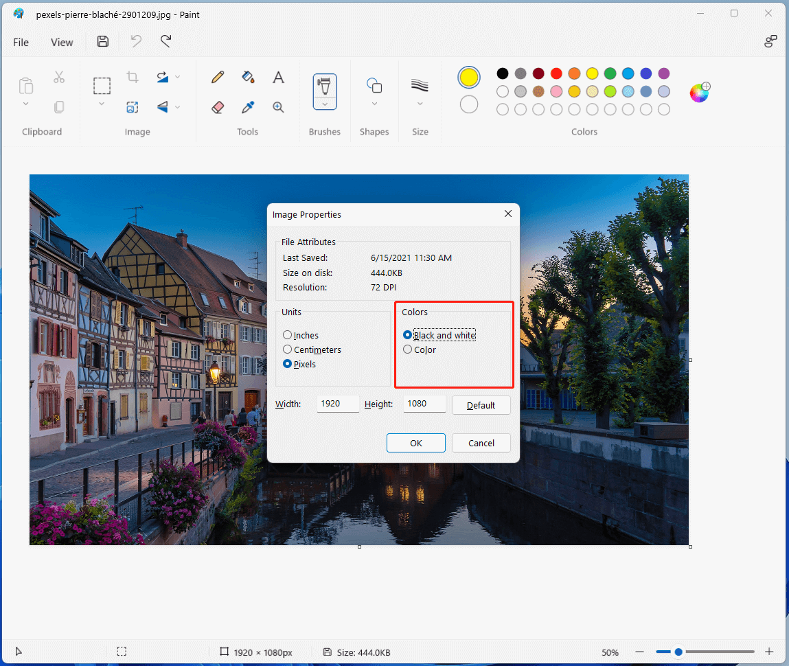 turn color picture to black and white in Paint