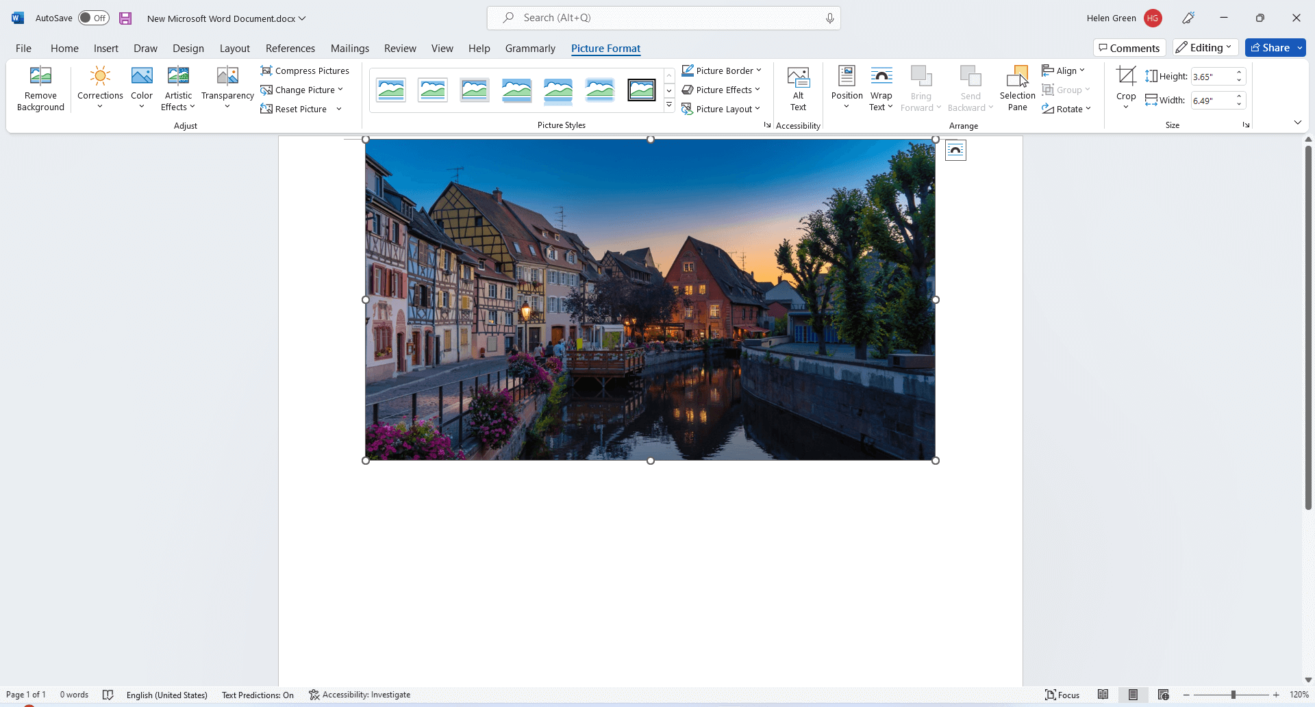 edit picture in Word app