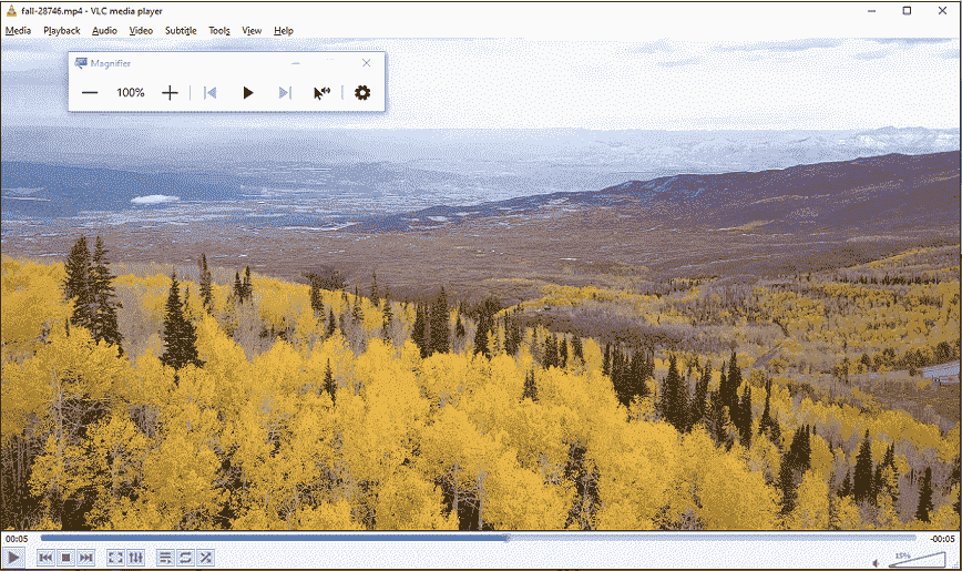 the Magnifier window in VLC