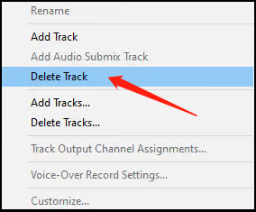 select the Delete Track option