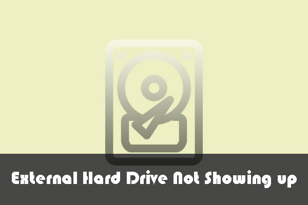 10 Cases: External Hard Drive Not Showing up & Best Fixes