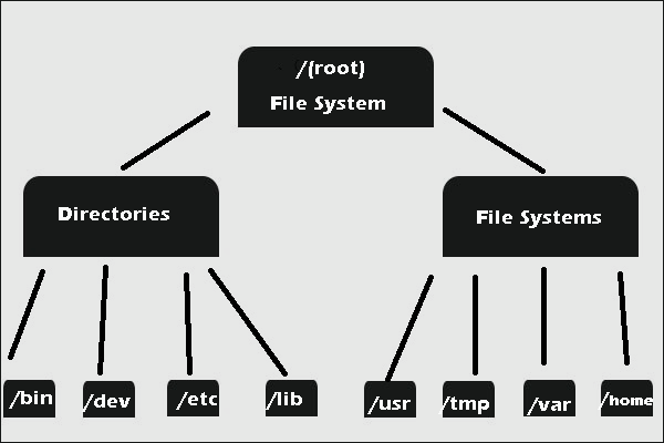 What Is Windows File System?