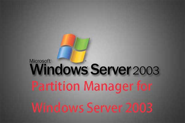 Partition Manager for Windows Server 2003 – MiniTool Partition Wizard