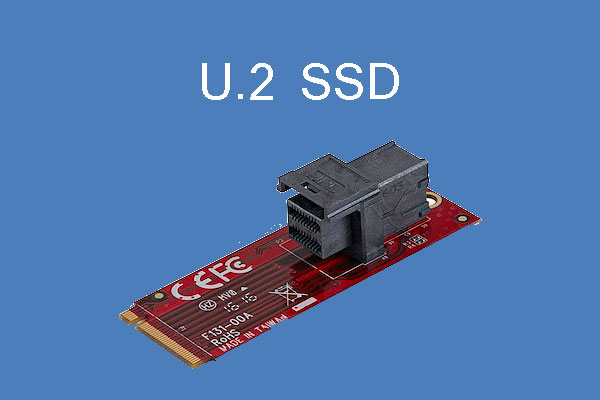 What Is U.2 SSD? How about U.2 SSD vs. M.2 SSD? An Easy Guide