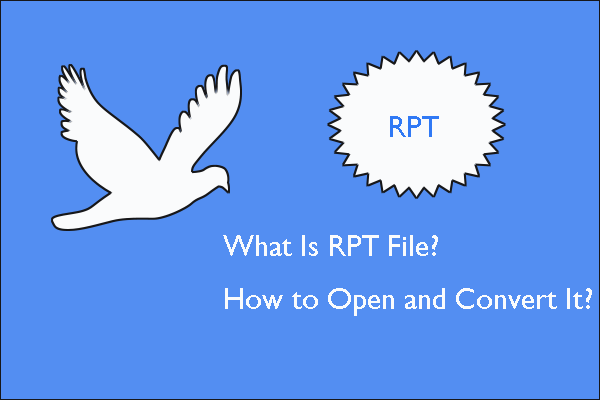 What Is RPT File and How to Open and Convert It?  