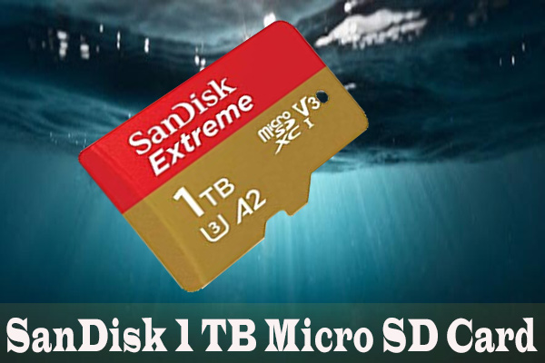 Look! Here’s a Guide to the SanDisk 1 TB Micro SD Card