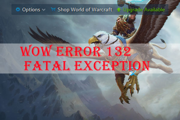 Fix: WoW Error 132 Fatal Exception