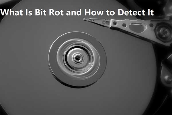 Complete Guide to Bit Rot [Definition, Detection, Fixes]