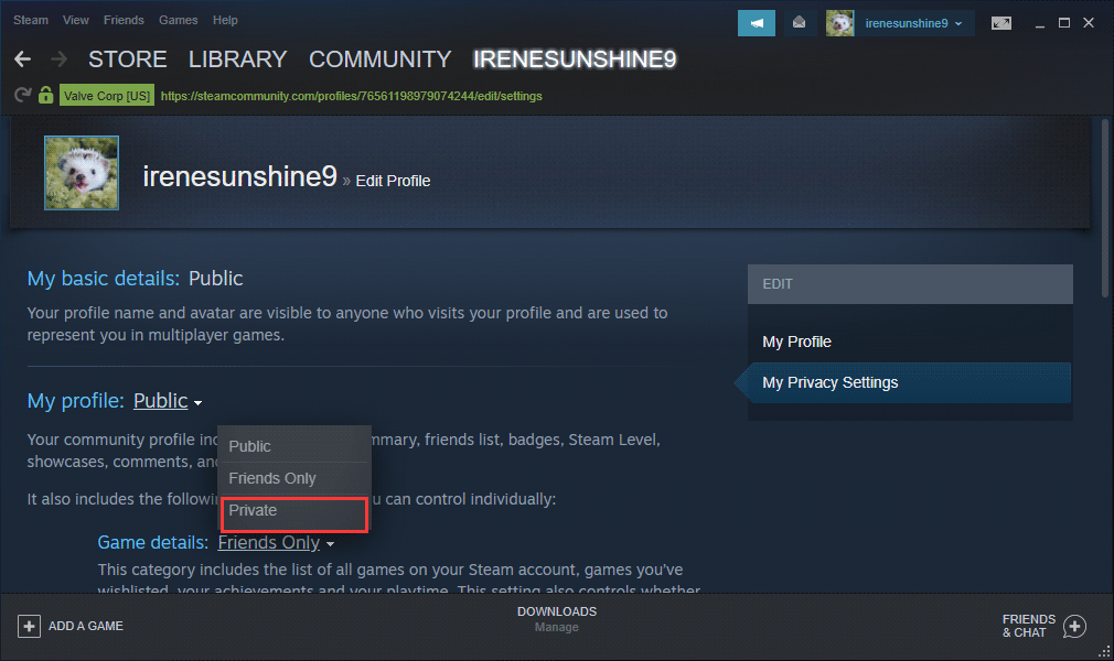 How to Hide Game Activity on Steam (Ultimate Guide)