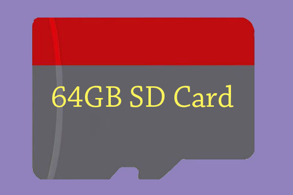 Best Selling 64GB SD Cards and Micro SD Cards You Are Seeking