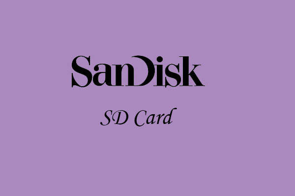 What Is the Best SanDisk SD Card?