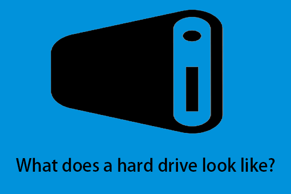 What Does a Hard Drive Look Like? [Inside/Internal/External]