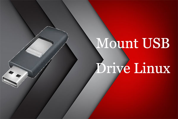 How to Mount a USB Drive in Linux Manually [2 Ways]