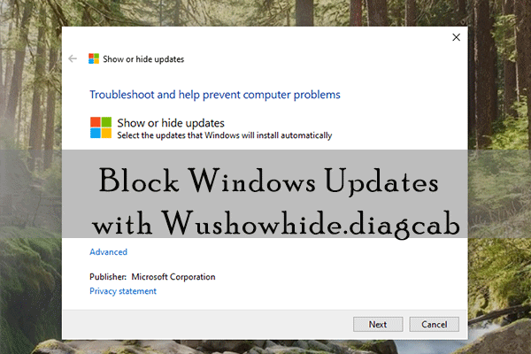 How to Stop Windows Updates for Drivers? Try Wushowhide.diagcab