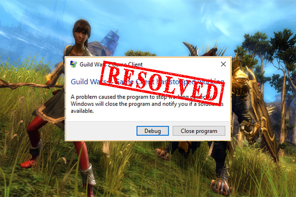 Guild Wars 2 Launcher Keeps Crashing? Here Are 6 Solutions