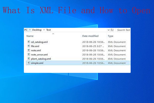 XML File | What Is It and How to Open It Properly