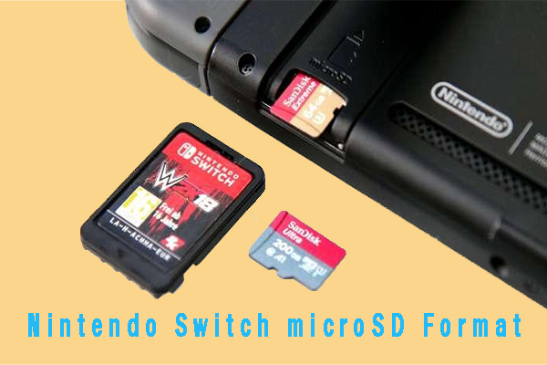 How to Format SD Card for Switch? [Complete Guide]