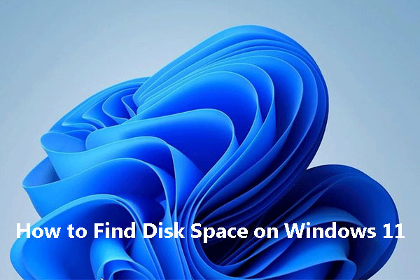 How to Find Disk Space on Windows 11 [3 Ways]