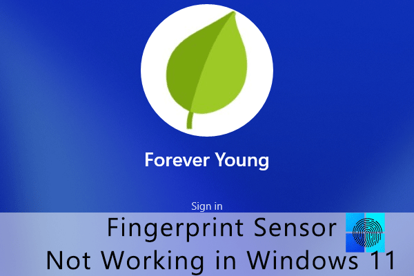 The Top 3 Fixes for Fingerprint Sensor Not Working in Windows 11