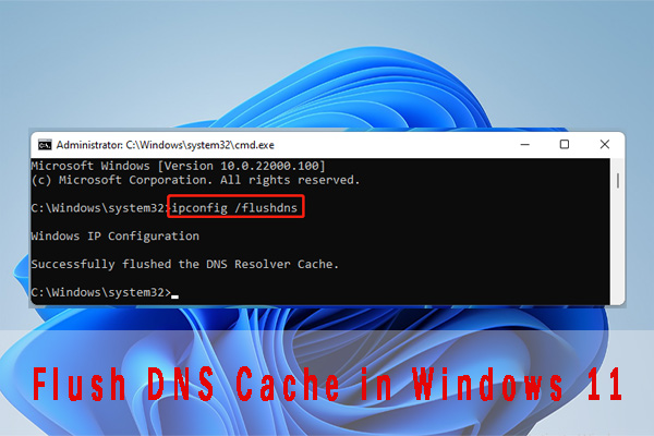 How to Flush DNS Cache in Windows 11? [Step-by-Step Guide]