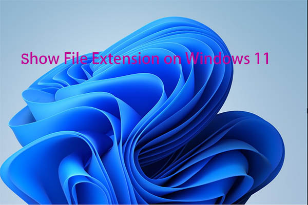 Show File Extensions Windows 11 via Various Sources