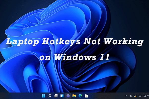 How to Solve: Laptop Hotkeys Not Working on Windows 11
