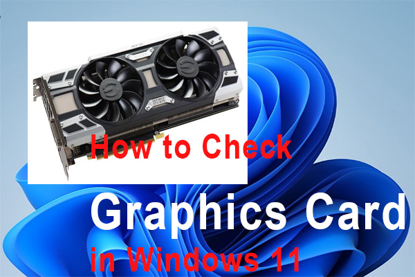 How to Check Graphics Card in Windows 11? [5 Ways]