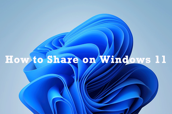 How to Share a File/Folder/Drive on Windows 11?