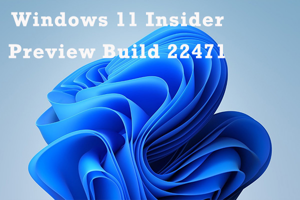 Windows 11 Insider Preview Build 22471 Is Released – Install It!