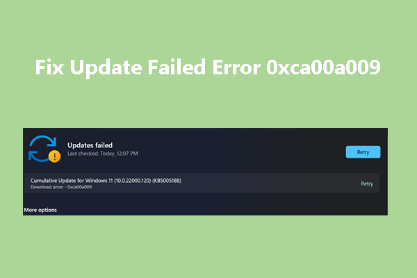 How to Fix Update Failed Error 0xca00a009 on Windows 11